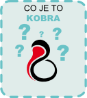 Co je to Kobra?